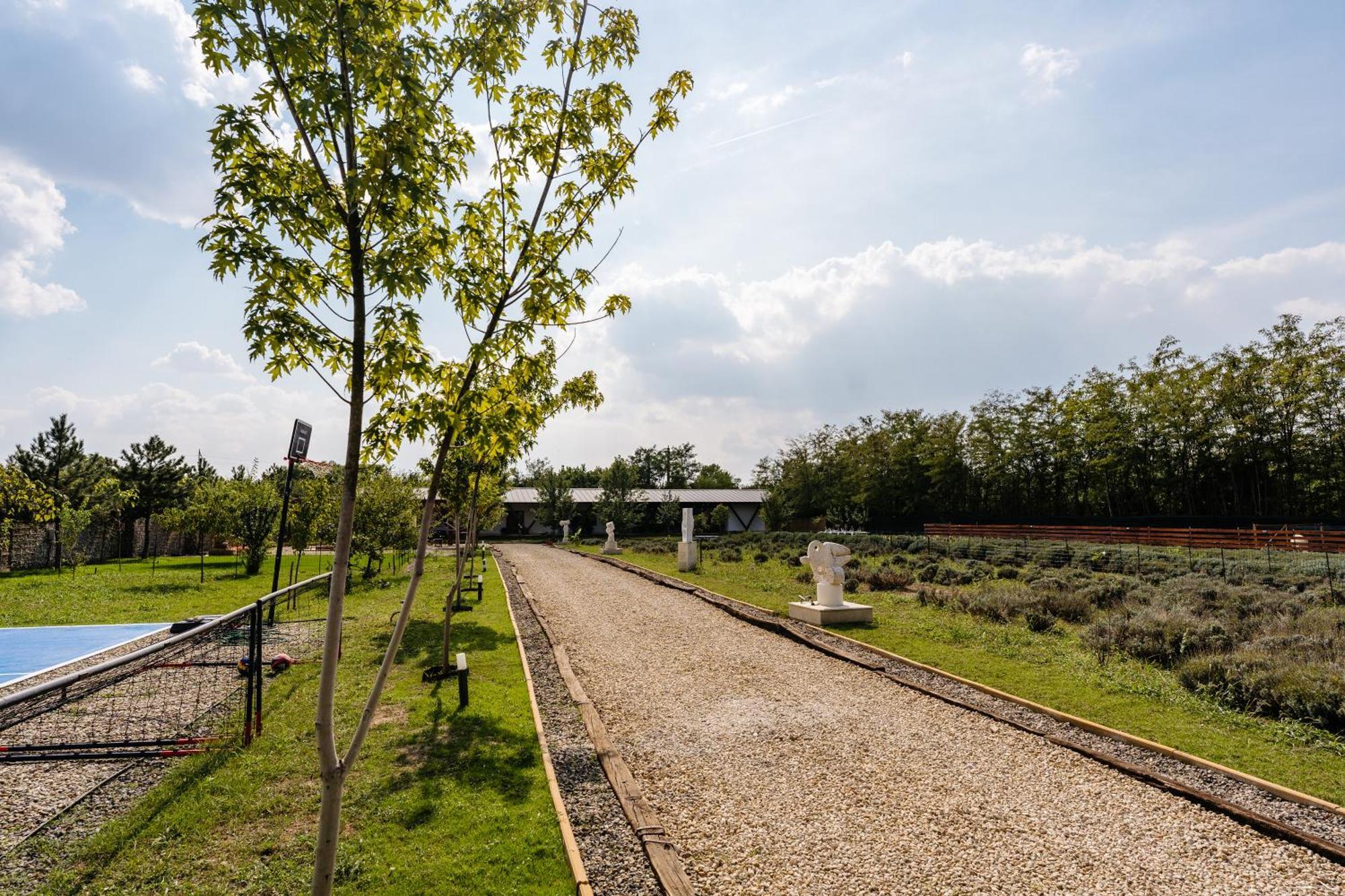The Tribe Alpaca Retreat Hotel Branesti Ngoại thất bức ảnh