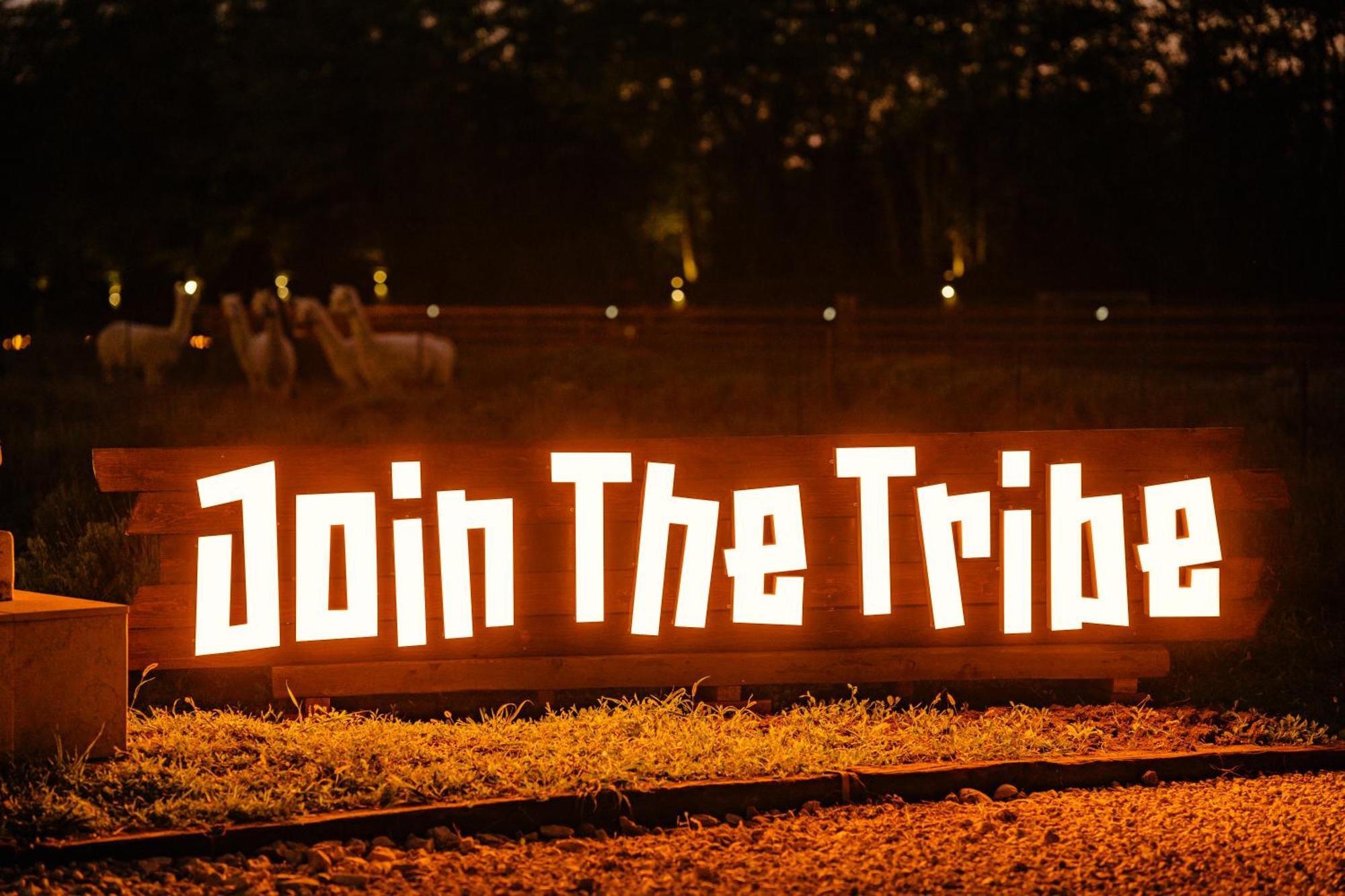 The Tribe Alpaca Retreat Hotel Branesti Ngoại thất bức ảnh