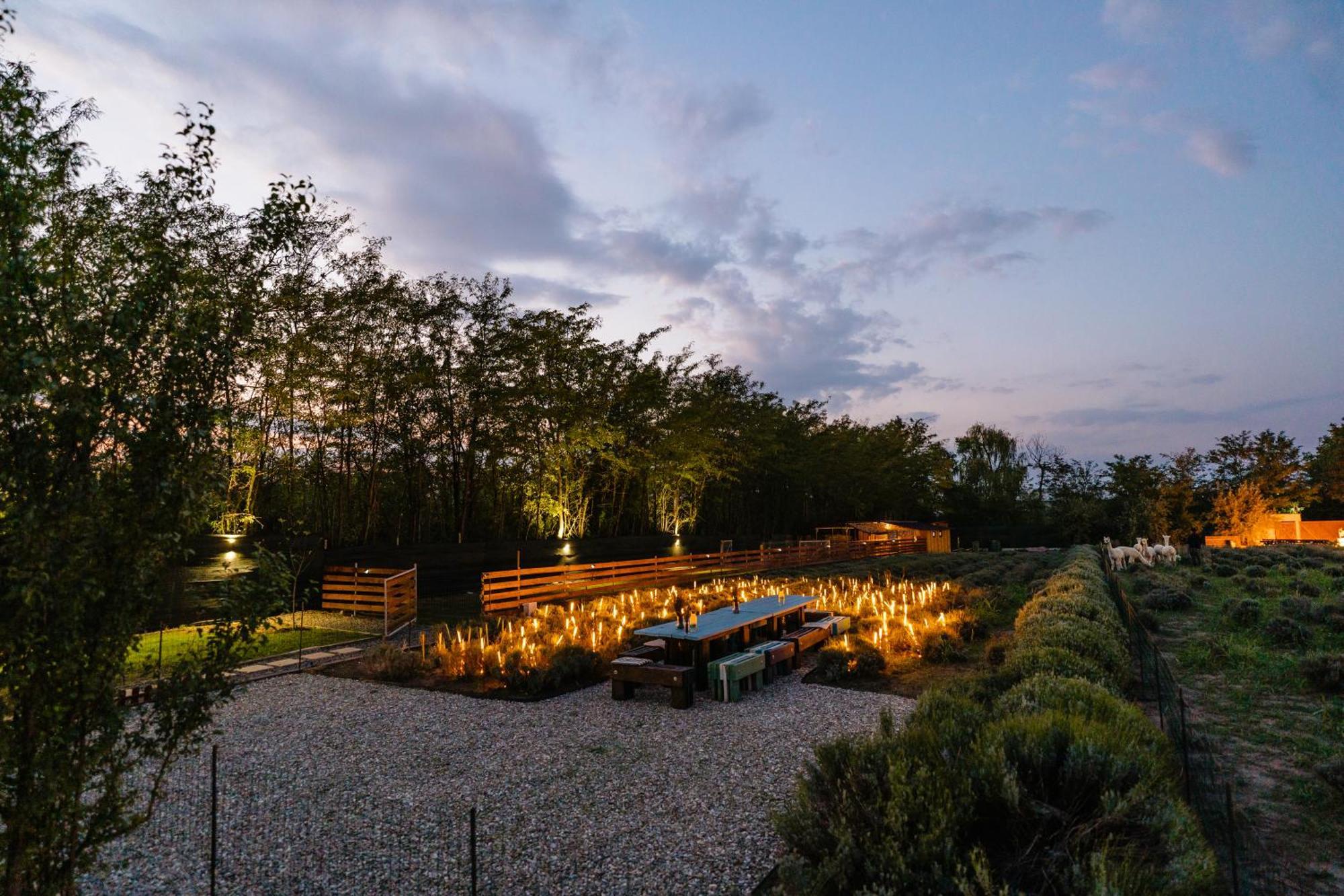 The Tribe Alpaca Retreat Hotel Branesti Ngoại thất bức ảnh