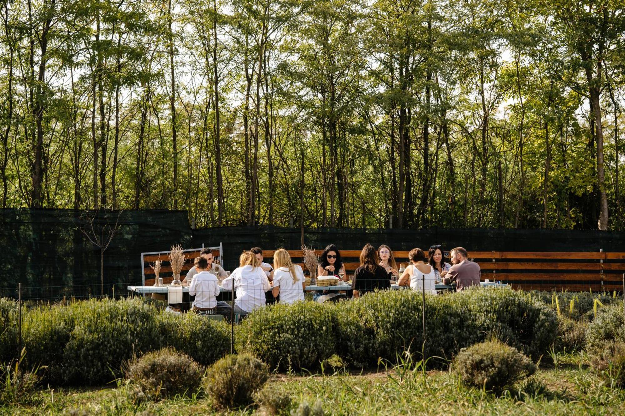 The Tribe Alpaca Retreat Hotel Branesti Ngoại thất bức ảnh