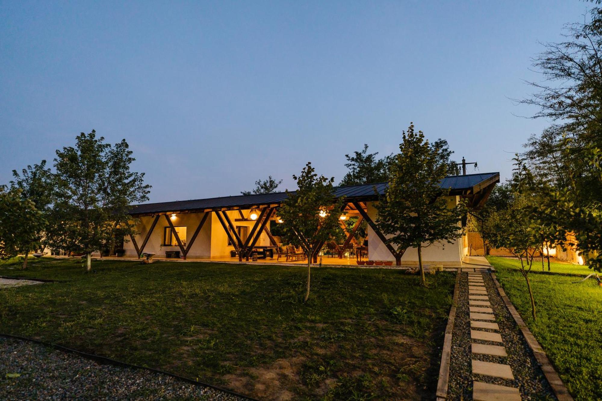 The Tribe Alpaca Retreat Hotel Branesti Ngoại thất bức ảnh