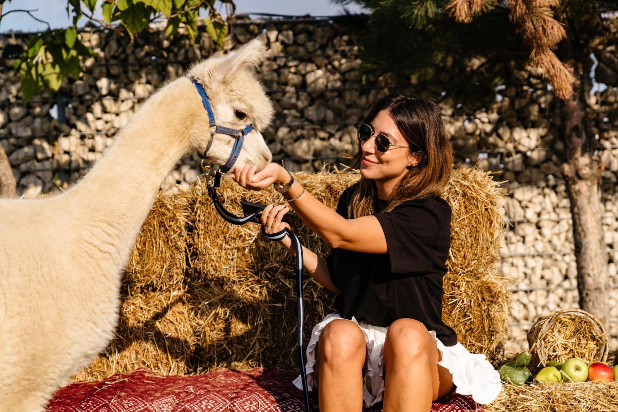 The Tribe Alpaca Retreat Hotel Branesti Ngoại thất bức ảnh